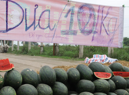 Dưa hấu “mắc kẹt", bán rẻ như cho